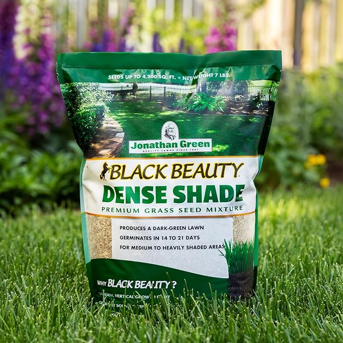 Jonathan Green (10610) Black Beauty Dense Shade Grass Seed - Cool Season Lawn Seed (25 lb)