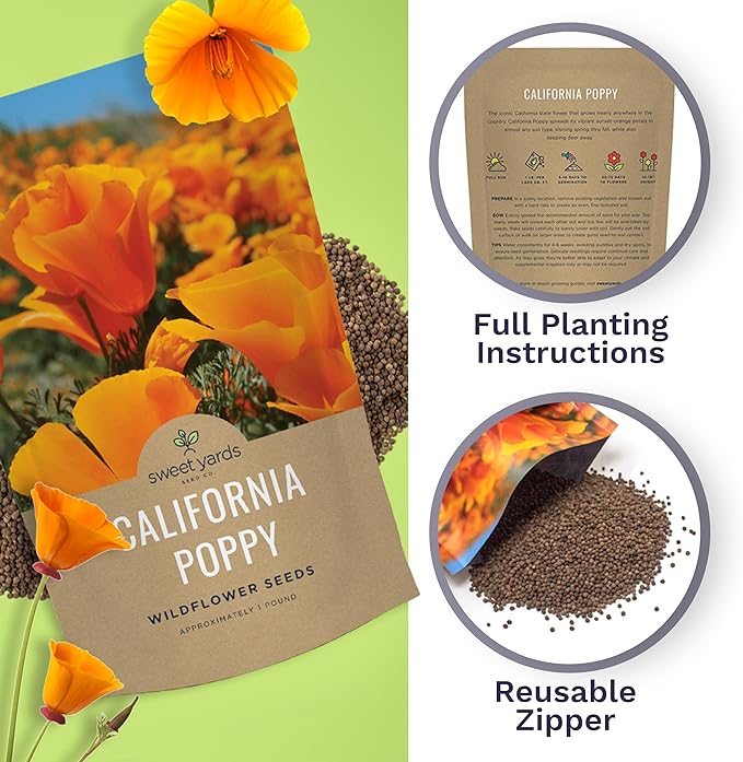 Bulk California Orange Poppy Wildflower Seeds - 5 Pounds - Over 1,600,000 Native Seeds - California State Flower!