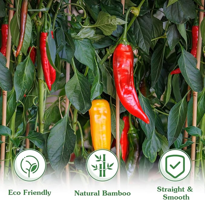 Plant Stakes,20Pcs Bamboo Stakes,16 Inches Natural Bamboo Plant Support Stakes,Bamboo Stakes for Indoor and Outdoor Plants Tomatoes Beans Flowers Potted Plants Climbing Support