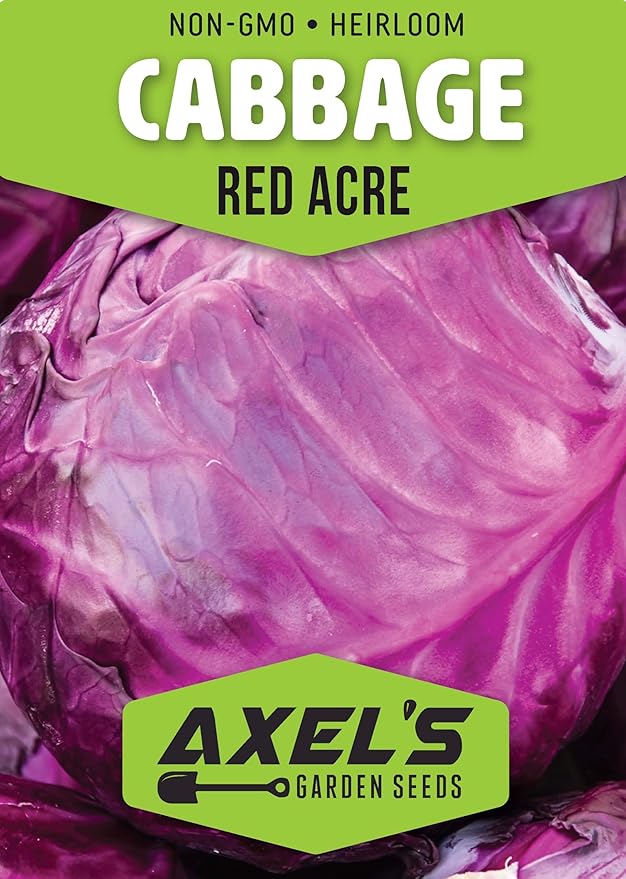 Red Acre Cabbage Seeds for Planting – Plant & Grow Heirloom Red Acre Cabbage in Home Outdoor Vegetable Garden, Brassica oleracea VAR. capitata– 1 Packet Approx 200 Seeds