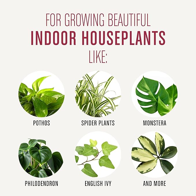 Miracle-Gro Houseplant Potting Mix - Fertilized Indoor Plant Soil for Containers, Designed to be Less Prone to Gnats, 4 qt.