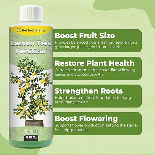 Liquid Lemon Tree Fertilizer by Perfect Plants | Citrus Plant Food for Fast Growth and Happy Live Lemon Trees | 6-3-3 Formula Rich in Nitrogen and Other micronutrients (8oz)