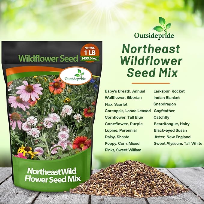 Outsidepride Northeast Wild Flower Seed Mix - 1 lbs Premium Blend of Vibrant Biennial & Annual Wildflower Seeds for Northeastern States, Ideal for Meadows, Borders & Gardens, & Attracting Pollinators