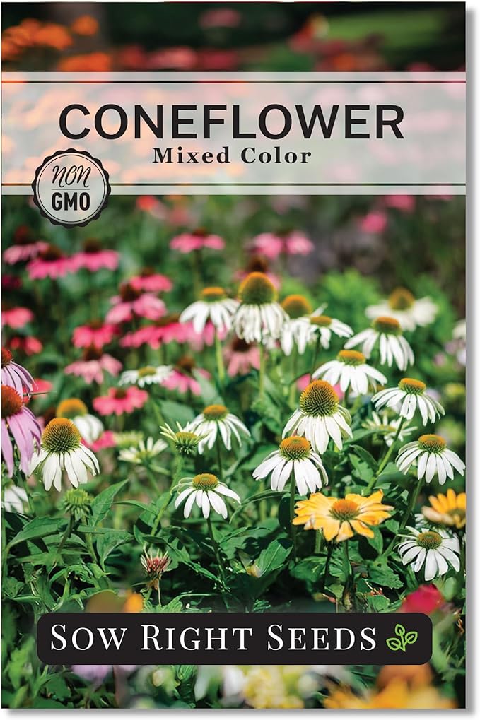 Sow Right Seeds - Mixed Color Coneflower Echinacea Seeds for Planting - Non-GMO Heirloom Ideal for Beautiful Flower Garden - Vibrant Cone Flowers - Perennial Blooms for Outdoor Gardens or Bouquets (1)