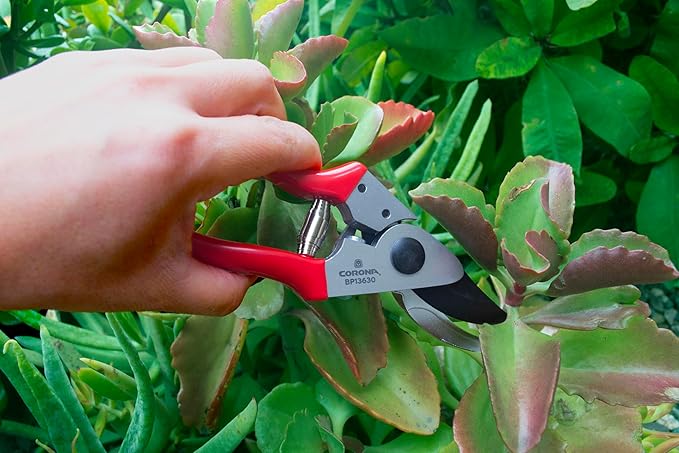 Corona Tools Yard Essentials Pocket Pruner