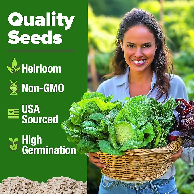 HOME GROWN 5 Lettuce Seed Pack 3950 Heirloom Vegetable Seeds for Indoor, Outdoor, or Hydroponic Growing Black Seeded Simpson, Red Romaine, Bibb, Buttercrunch, Iceberg Varieties (Lactuca Sativa)