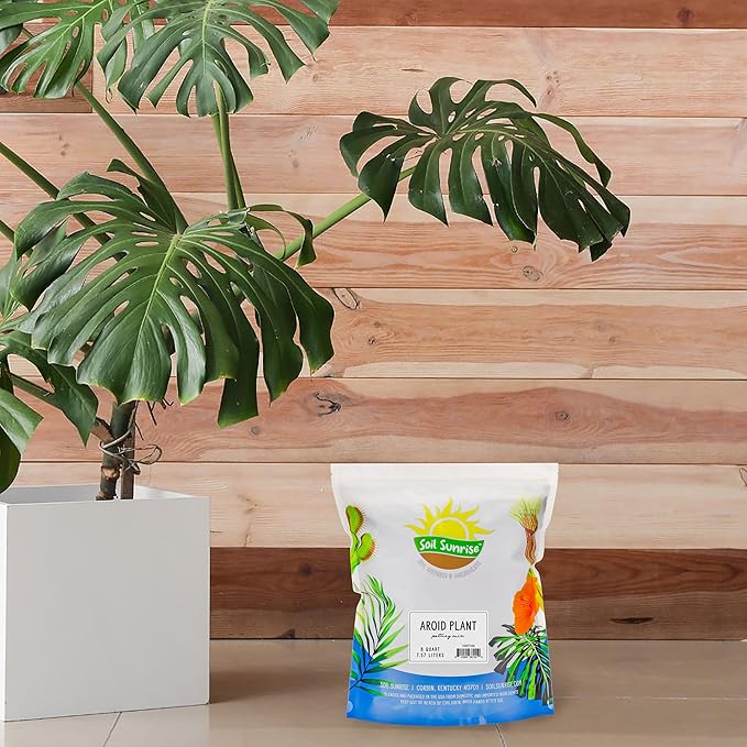 Soil Sunrise Aroid Plant Potting Soil Mix (8 Quarts) for Pothos Devil's Ivy, ZZ Plant, Chinese Evergreen, Dumb Cane Philodendron, Syngonium, Alocasia, Colocasia Etc.