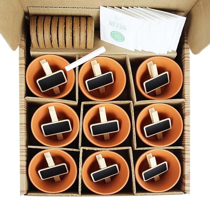 BUZZY Seeds Apothecary Garden Wellness Kit with 9 Varieties of Non-GMO Flower and Herb Seeds, Terracotta Pots, Growing Medium, and Plant Markers, a Self-Care Gift for Holistic Living
