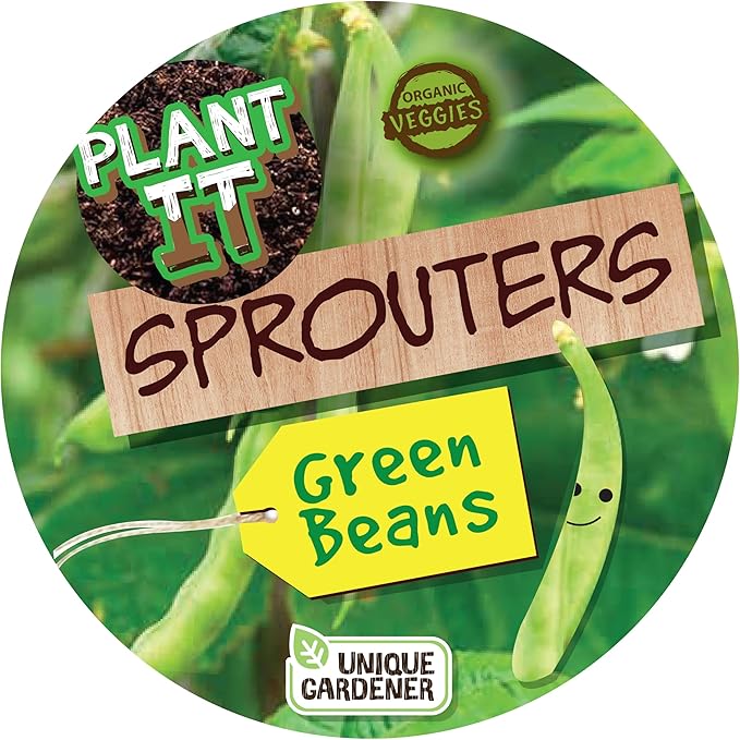 Plant-It Starters Plant Seeds 4-Pack, DIY Indoor Succulents and Live Plants for Home or Garden Planting, Green Bush Beans