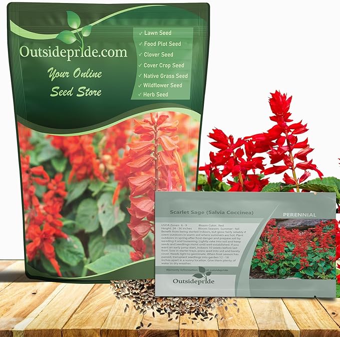 Outsidepride Salvia Coccinea Scarlet Sage Seeds for Planting - 5 Lbs. Perennial, Heat-Tolerant Wildflower Seeds w/Red Blooms, Attracts Hummingbirds & Butterflies for Pollinator-Friendly Gardens