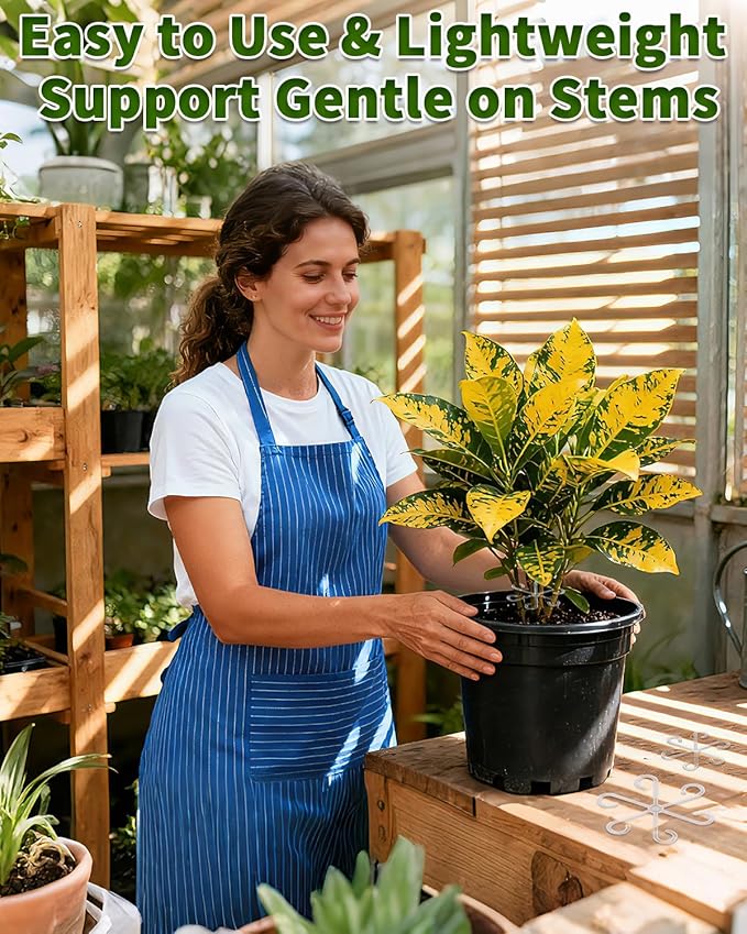 4 PCS Plant Stem Support, Climbing House Plant Stem Support, Plant Supports for Indoor Plants, Reusable Houseplant Accessories（Transparent）