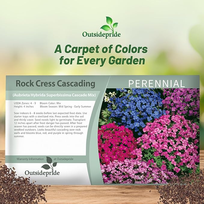 Outsidepride Cascade Mix Aubrieta Rock Cress Seeds - 2000 Pcs Perennial Flower Seeds, Easy to Grow, Low Maintenance, Cascading & Low Growing, for Baskets, Rock Walls, or Ground Covers