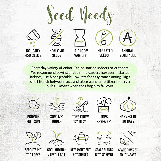 Seed Needs Onion Seeds for Planting Red Burgundy Short Day Onions - Non-GMO Heirloom & Untreated Vegetable Seeds to Plant an Outdoor Home Grown Veggie Garden (1 Pack)