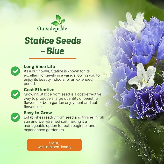 Outsidepride Blue Statice Flower Seeds - 1000 Pcs Annual Easy to Grow Drought Tolerant Flower Seeds for Floral Arrangements, Borders, & Pollinator Garden