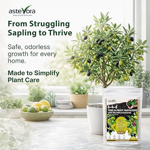 Olive Tree Fertilizer – Fruit Tree Fertilizer for Olive Tree, Citrus, Lemon, Lime, Fig, Avocado, Mango, Apple & Pomegranate – for Potted & Outdoor Trees (2 quarts - 4 lbs.)