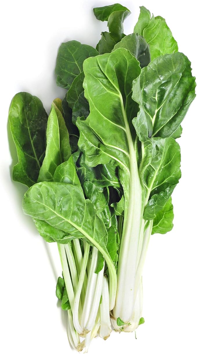 Swiss Chard Seeds - Barese Dark Green Smooth Leaf - 5 g Packet ~265 Seeds - Beta vulgaris SSP. cicla - Farm & Garden Vegetable & Microgreens Seeds - Non-GMO, Heirloom, Open Pollinated, Annual