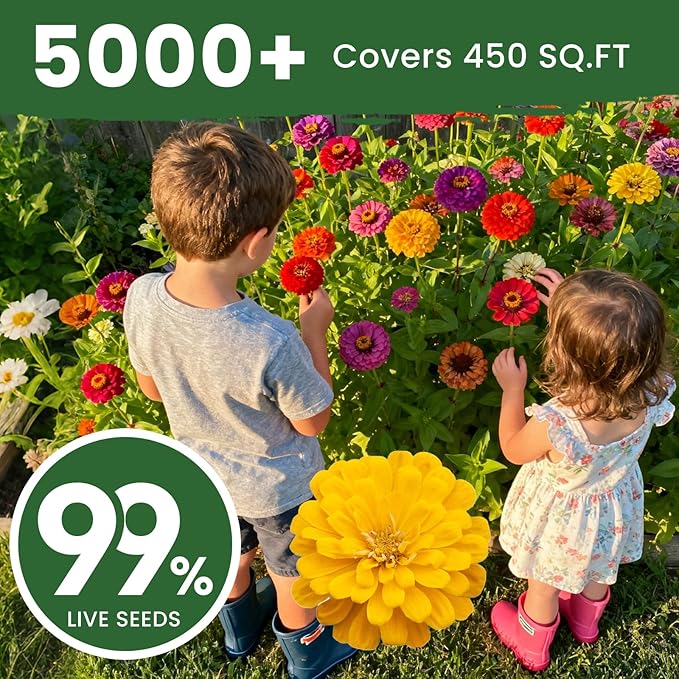 5000+ Zinnia Seeds Flower Seeds for 2026 Planting, 1.5 Oz, 5 Varieties (Pink, Yellow, Orange, White, Purple), 40G Mixed Colors and Large Blooms, Open Pollinated - Bulk (1.5 Ounce Pouch)