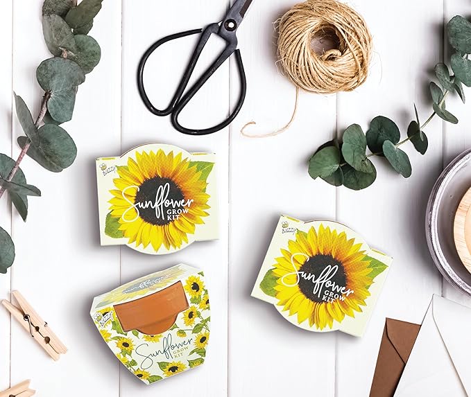 BUZZY Seeds All-in-One Sunflower Mini Terracotta Pot Grow Kits 12-Pack, Indoor Mini Garden Seed Starter, Grow Your Own Vibrant Flowers, DIY Plant Project, Gardening Gift, Party Favors