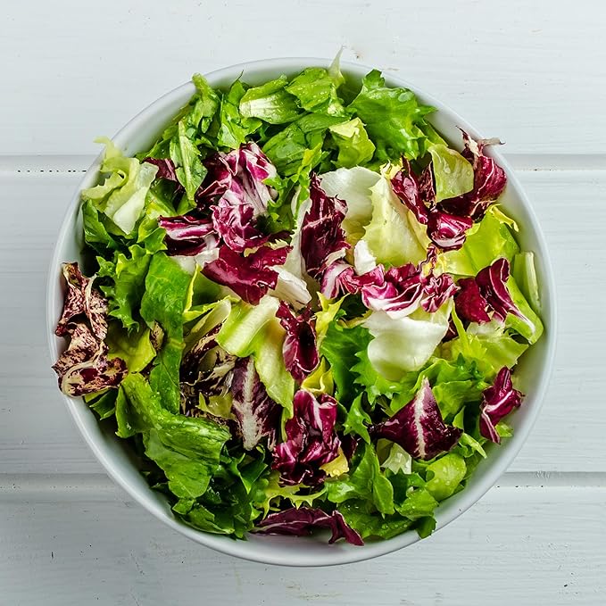 Back to The Roots 100% Organic Seed Packet - Lettuce 'Gourmet Blend' 420mg