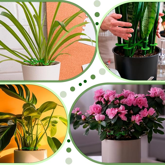 Chunful 24 Pcs Plant Stem Support 4 Sizes Climbing Houseplant Stem Holders, Plastic Reusable Flower Trellis Hook Plant Care Growth Accessories for Flower Plants Indoor Outdoor