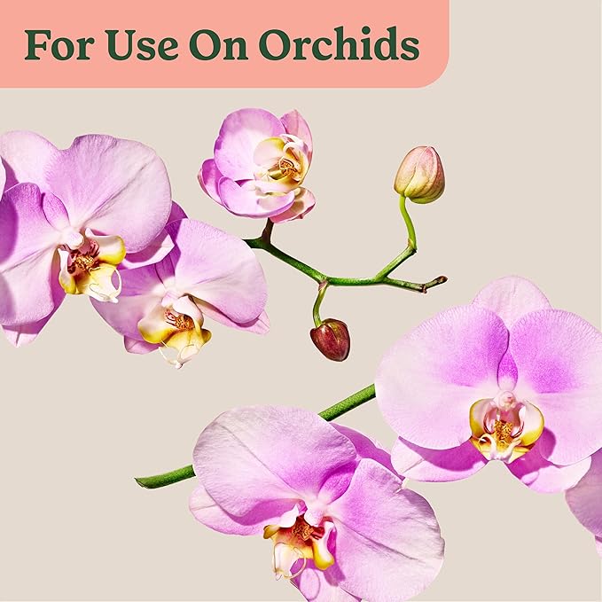 Miracle-Gro Indoor Plant Food Mist for Orchids, Orchid Plant Food, 8 fl. oz. (3-Pack)