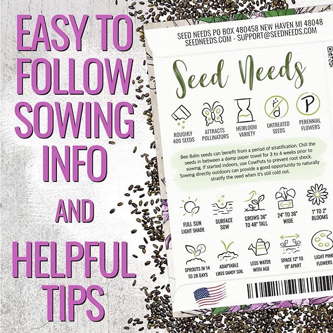 Seed Needs Bee Balm Seeds for Planting Wild Bergamot - Heirloom & Open Pollinated Perennial Flowers to Grow a Butterfly Garden to Attract Bees, Butterflies & Other Pollinators (5 Packs)