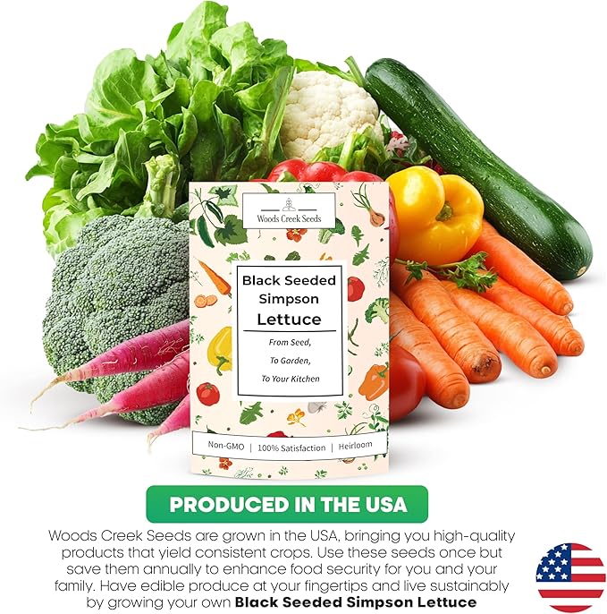 Woods Creek Seeds: Black Seeded Simpson Heirloom Lettuce Seeds for Planting - Over 1,700 Non-GMO Seed Pack for Indoors, Outdoors, or as Hydroponic Seeds - Beginner-Friendly Green Leaf Lettuce Seed