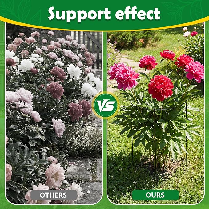 Peony Cages and Supports 4 Pack, 12x16 Inch Heavy Duty Metal Plant Cage for Outdoor Plants – Grow Through Flower Support Rings for Peonies, Roses, Tomatoes & Hydrangeas