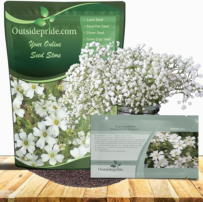 Outsidepride Gypsophila White Baby's Breath Seeds - 1 lb. Annual Hardy, Easy to Grow & Drought Tolerant Wild Flower Seeds for Planting Vibrant Blooms in Pollinator Gardens & Floral Arrangements