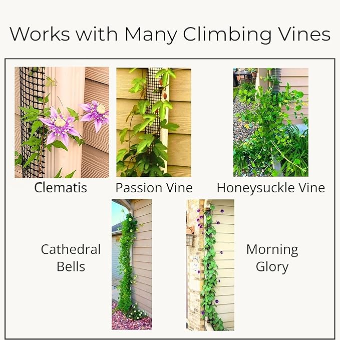 Downspout Trellis for Rain Gutters and Downspouts 9 ft x 4 in Climbing Plant Support HDPE Mesh with Mounting Hardware for Clematis and Vines, Scroll Trellis 1-Pack