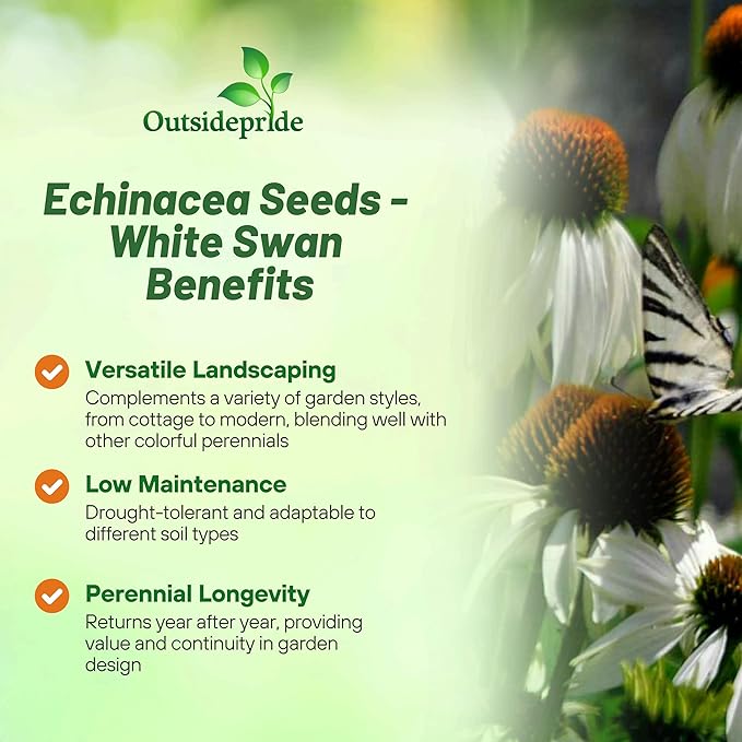 Outsidepride White Swan Echinacea Coneflower Seeds - 500 Pcs Hardy, Drought-Tolerant Perennial Wildflower Seeds for Planting w/Daisy-Like Blooms, Ideal for Gardens, Borders, & Pollinator Habitats