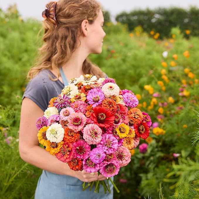 Eden Brothers Zinnia Seeds - Pumila/Cut & Come Again Mix, Non-GMO Seeds for Planting, Packet | Low-Maintenance Flower Seeds, Plant During Spring, Zones 3, 4, 5, 6, 7, 8, 9, 10