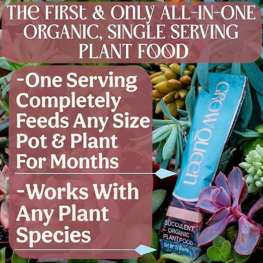 Grow Queen Complete Organic Cactus & Succulent Fertilizer, Succulent Plant Food & Cactus Food, Bonsai, Snake Plant Fertilizer, 11 Servings Fast & Slow Release Feeds up to 44 Plants 8 Months