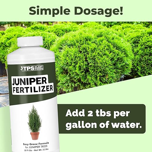 Juniper Fertilizer – Liquid Plant Food for Dense Growth, Rich Green Color & Stronger Root Development, 8 oz