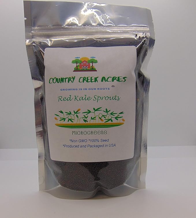 Red Kale, 25 Seeds,Non-GMO Garden Seeds by Country Creek Acres