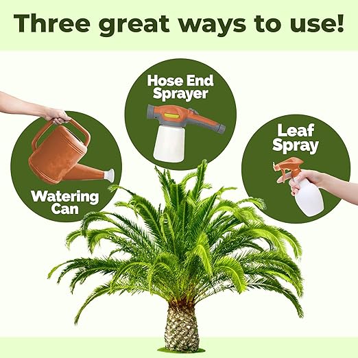 Sago Palm Fertilizer – Liquid Plant Food for Rich Green Fronds, Stronger Roots & Healthy New Growth, 8 oz