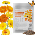 Groundio Calendula Seeds Pacific Beauty Mix, 3000+ Calendula Officinalis Seeds, Open Pollinated Non-GMO Wildflower Seed Grown in The USA, 1 Ounce