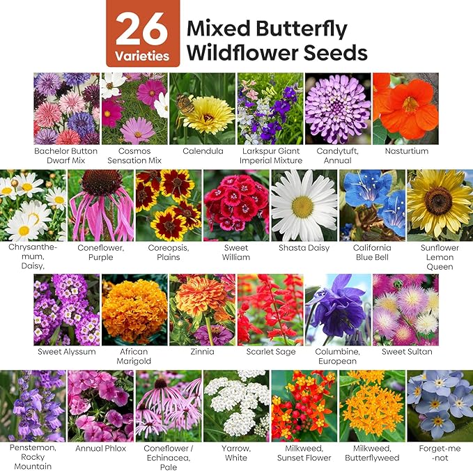 Groundio Wildflower Seeds Bulk, 1/4 lb, 100,000+ Seeds, 26 Variety Mix with Zinnia, Milkweek Seed, Attracts Pollinators, Plant in Spring or Fall, Zones 3, 4, 5, 6, 7, 8, 9, 10