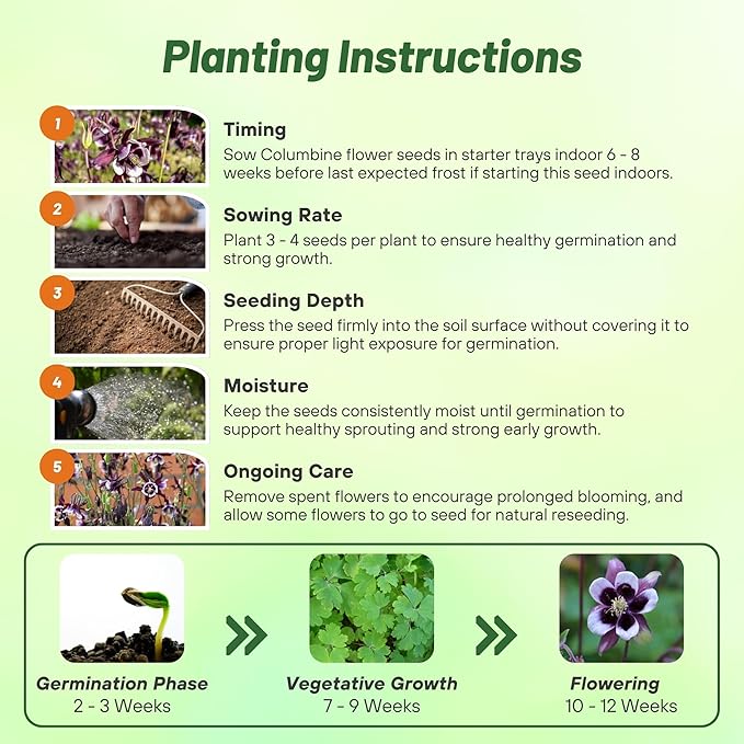 Outsidepride William Guinness Columbine Seeds - 2000 Pcs Perennial, Easy to Grow Flower Seeds for Planting, Suitable for Pollinator-Friendly Garden, Cut Floral Arrangements, Ground Covers, or Borders