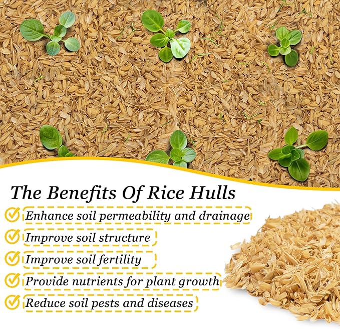 10.58 oz Horticultural Grade Rice Hulls for Plants – Natural Rice Husk Soil Amendment for Indoor Plants, Potting Mix & Gardening,Organic Use for Chicken Bedding Improve Soil Structure