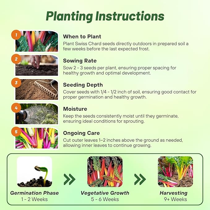 Outsidepride Mix Swiss Chard Seeds for Planting Vegetables & Microgreens - 2000 Pcs Vibrant, Tasty & Highly Nutritious Biennial Vegetable Seeds for Garden Beds, Borders, & Containers