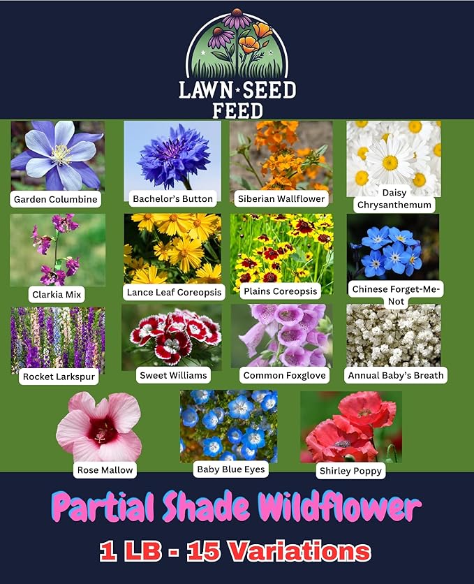 Partial Shade Wildflower Mix - (1LB) - Bring Color to Low-Light Areas that Thrive with Dappled Sun, producing Vibrant Blooms in Yards, Garden beds, Fence Lines, and Woodland Edges.
