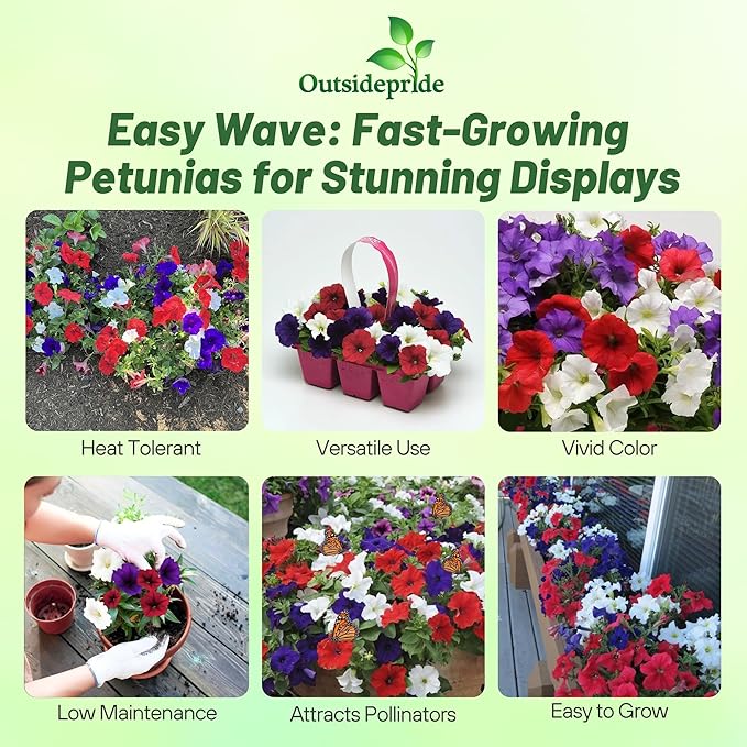 Outsidepride The Flag Mix Easy Wave Petunia Seeds - 15 Pcs. Annual, Compact & Spreading Flower Seeds for Planting Low Growing Vibrant Blooms, Ideal for Garden Beds, Baskets & Container Displays