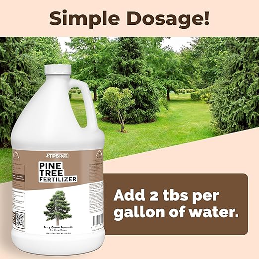 Pine Tree Fertilizer - for Leyland Cypress & Evergreen Tree Care - Pushes Rapid Root Growth for Strong, Wind-Resistant Yard Trees - Liquid Plant Food, 1 Gallon