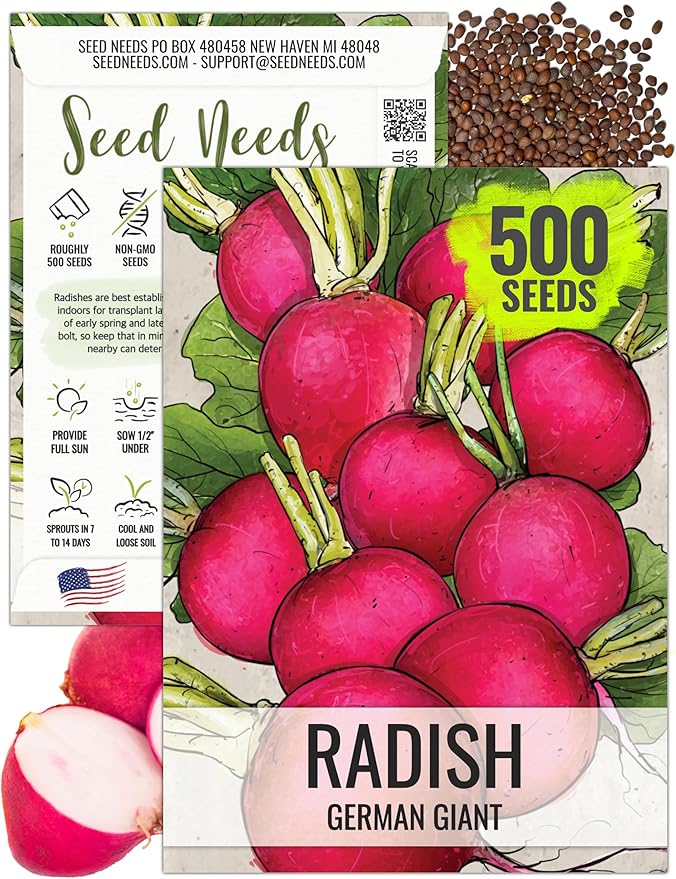 Seed Needs Radish Seeds for Planting German Giant Radishes - Non-GMO, Heirloom & Untreated - Grow a Home Grown Vegetable Garden - Cool Weather Crops (1 Pack)
