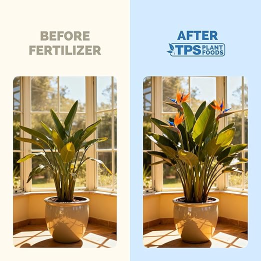 Bird of Paradise Fertilizer – Liquid Plant Food for Bigger Tropical Leaves, Stronger Roots & Healthy Upright Growth, 1 Gallon