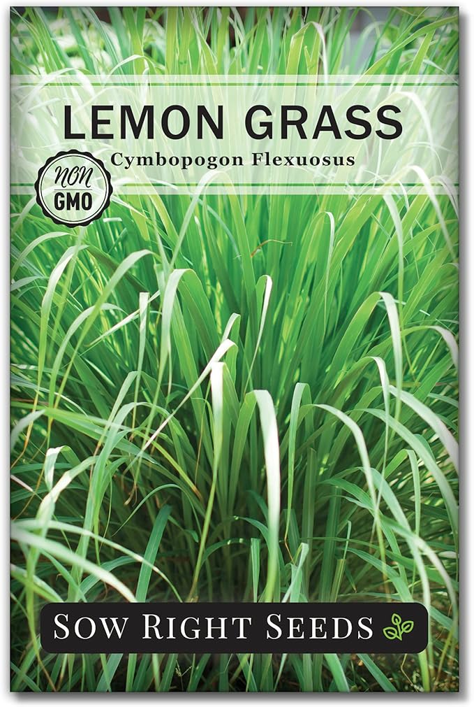 Sow Right Seeds - Lemon Grass Seed for Planting - Non-GMO Heirloom Packet with Instructions for Easy Planting and Growing an Herb Garden - Indoor or Outdoors - Delicious Culinary Herb (1)