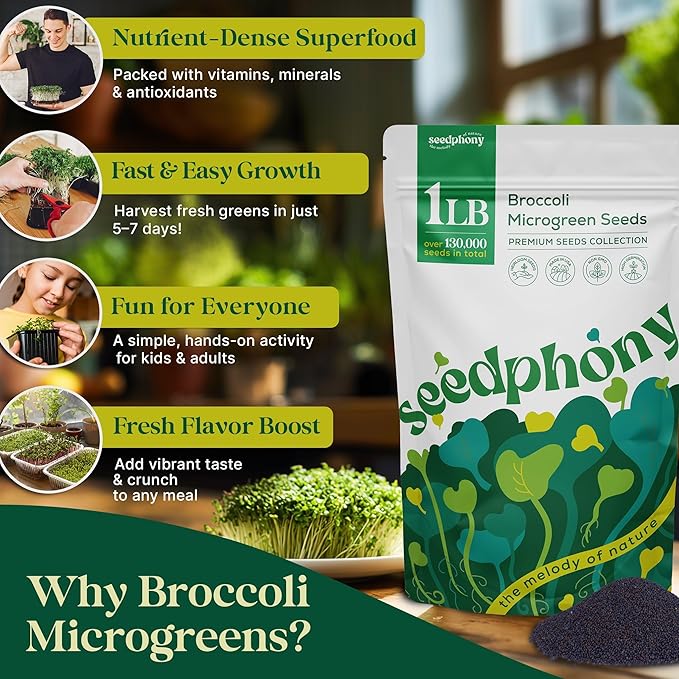 Broccoli Sprouting & Microgreens Seeds - 130,000 Non-GMO Heirloom Seed, 1lb Resealable Bag - High-Germination Broccoli Seeds for Sprouting in Jars, Soil, Hydroponics & Microgreen Trays