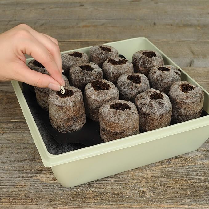 Jiffy 50mm Self-Watering Seed Starting Tomato & Vegetable Greenhouse Kit with 14 Plant-Based Expanding Peat Pellets & Water-Wicking Mat