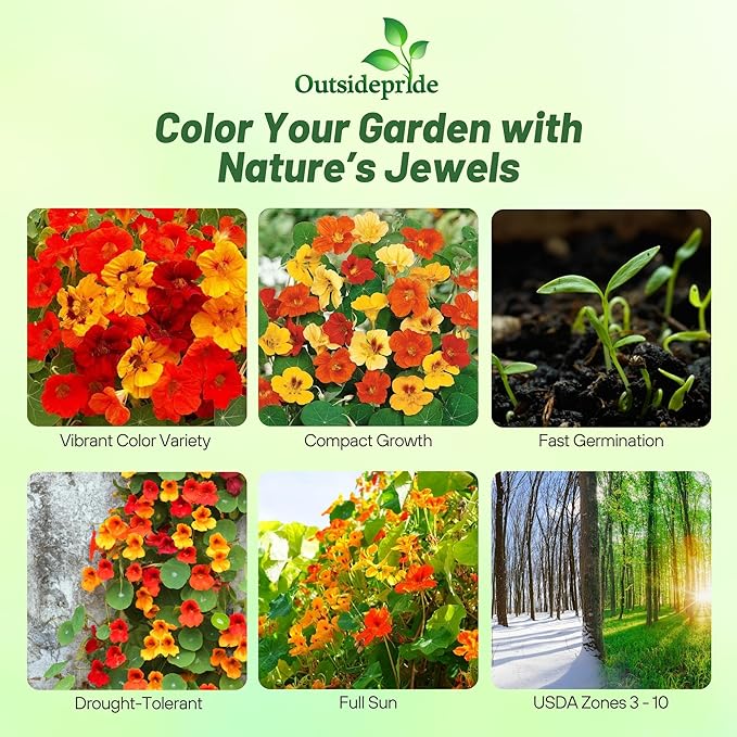 Outsidepride Jewel Mix Nasturtium Seeds - 1/4 lb. Annual, Easy to Grow & Versatile, Flower Seeds for Planting Vibrant Blooms, Ideal for Gardens, Borders, and Pollinator Gardens